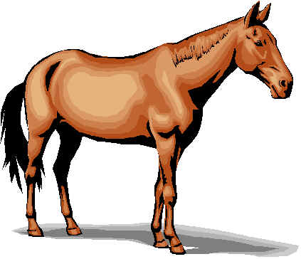 horse11.wmf (10216 bytes)